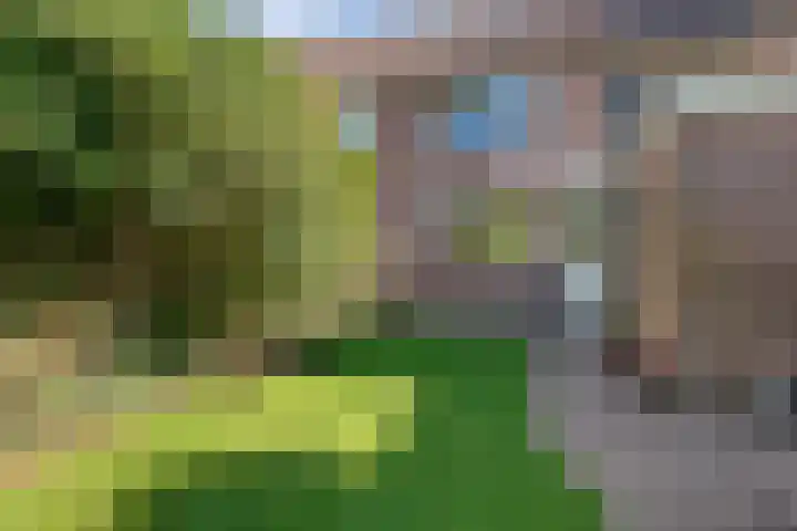 Delta 79 Huizen thumbnail 14