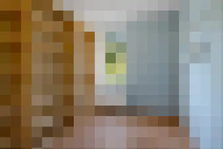 Delta 79 Huizen thumbnail 25