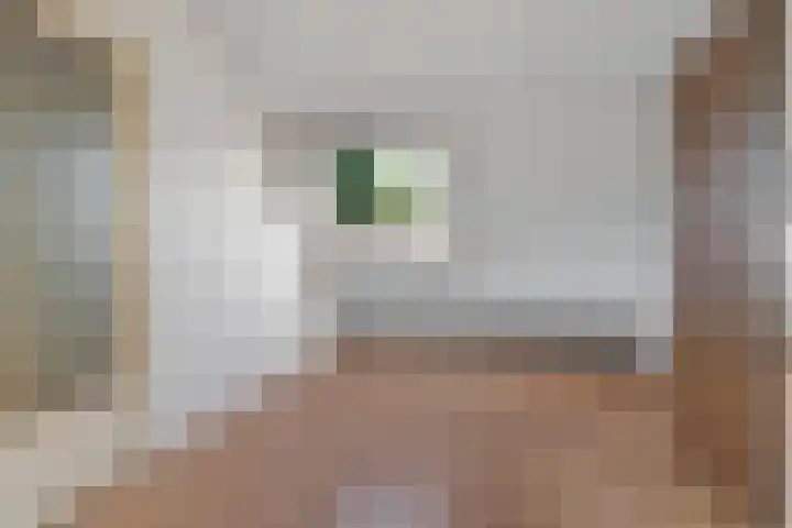 Delta 79 Huizen thumbnail 32