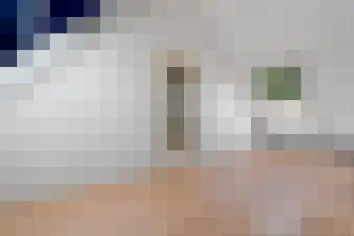 Delta 79 Huizen thumbnail 33