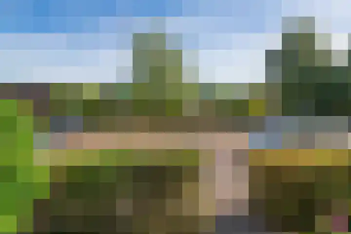Delta 79 Huizen thumbnail 35