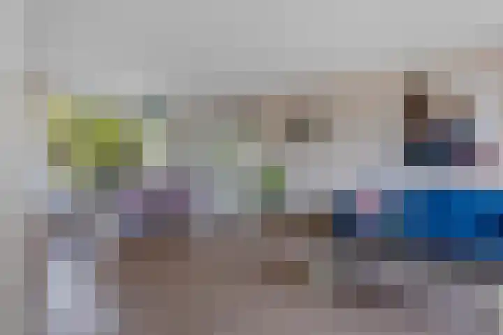 Delta 79 Huizen thumbnail 4