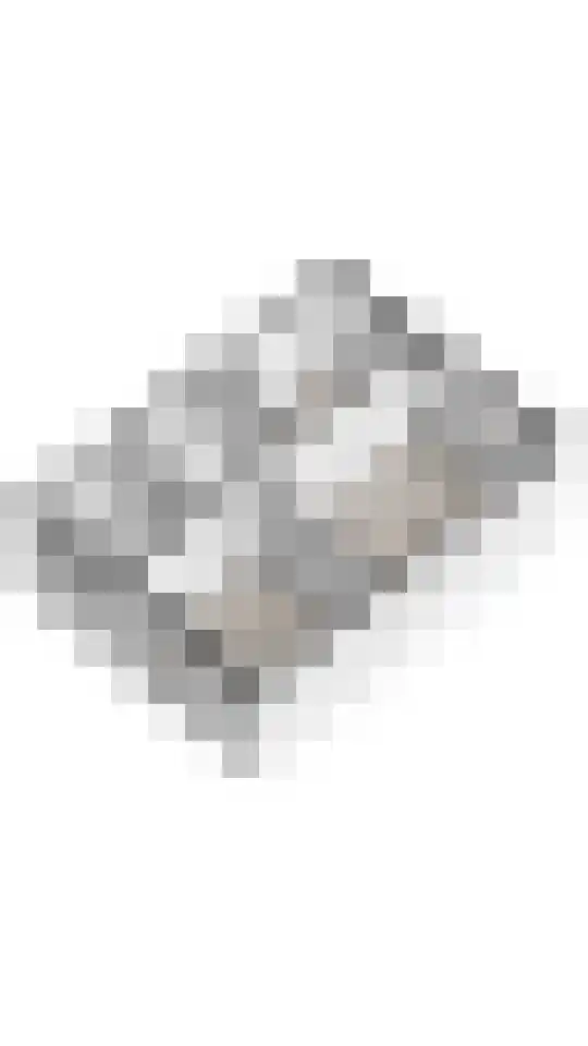 Delta 79 Huizen thumbnail 44