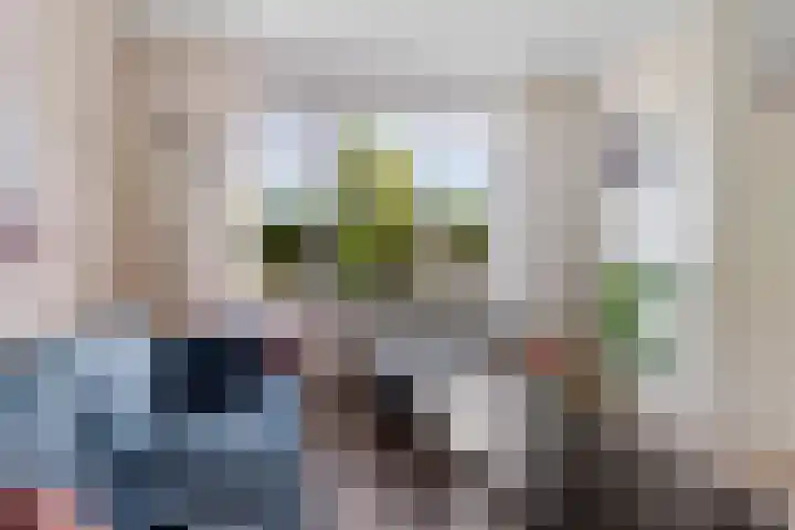 Delta 79 Huizen thumbnail 6