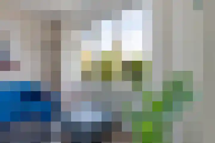 Delta 79 Huizen thumbnail 7