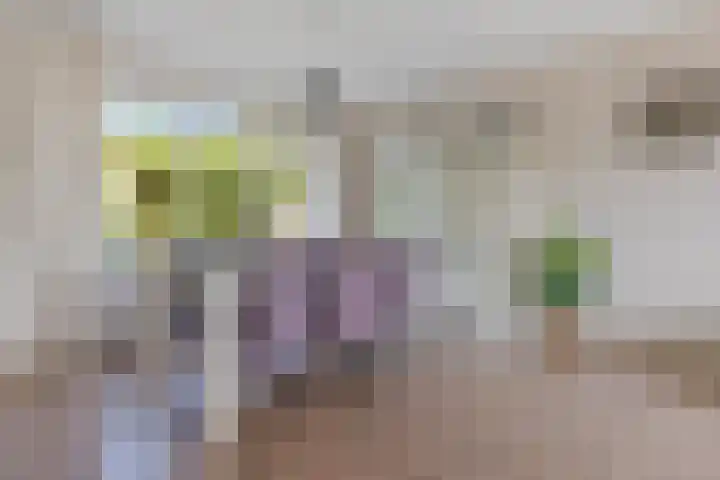 Delta 79 Huizen thumbnail 8