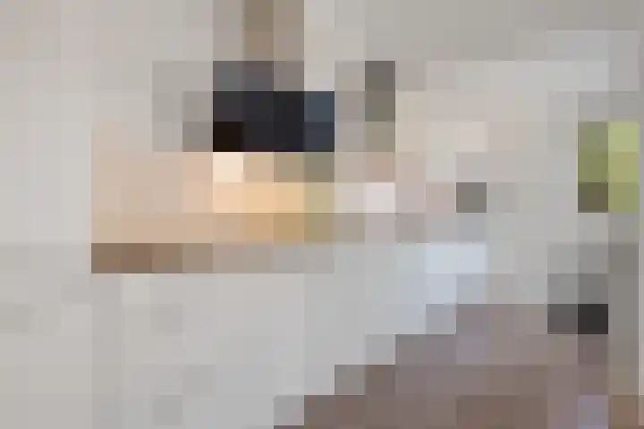 Delta 79 Huizen thumbnail 9