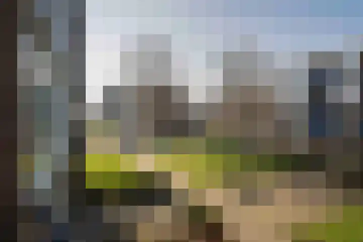 Deltalaan 105 Deventer thumbnail 7