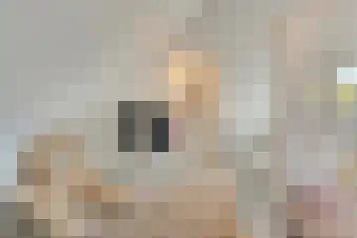 Deltalaan 143 Deventer thumbnail 11