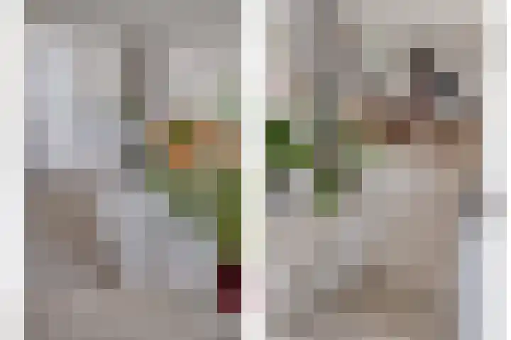 Deltalaan 15 Tilburg thumbnail 11