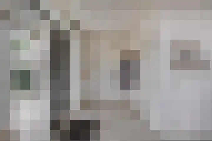 Deltalaan 15 Tilburg thumbnail 20