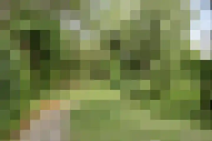 Deltalaan 15 Tilburg thumbnail 48