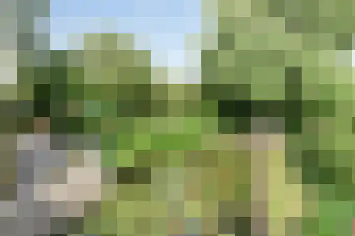 Deltalaan 15 Tilburg thumbnail 50