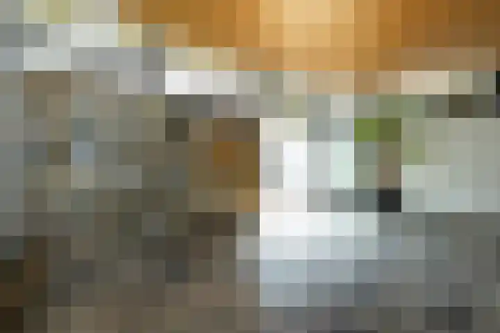 Deltalaan 17 Tilburg thumbnail 12