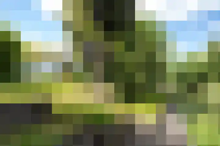 Deltalaan 17 Tilburg thumbnail 4