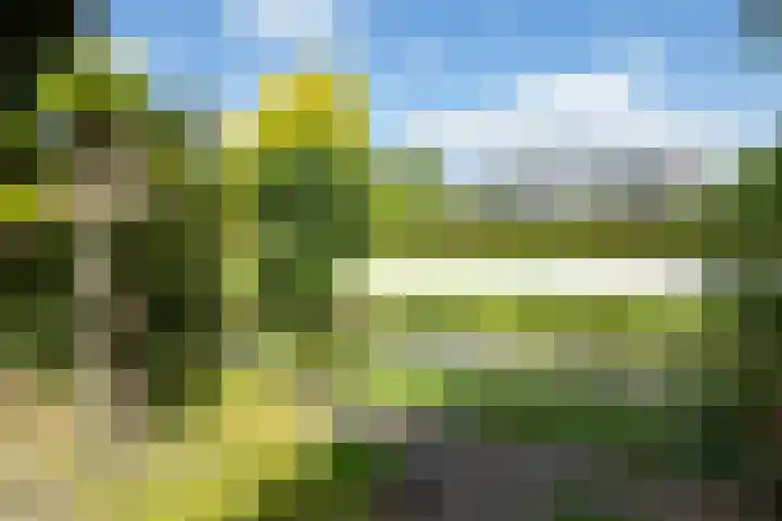 Deltalaan 17 Tilburg thumbnail 5