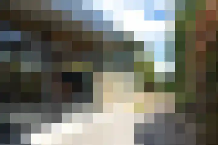 Deltalaan 17 Tilburg thumbnail 6
