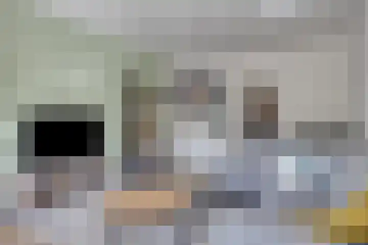 Deltalaan 214 Deventer thumbnail 17