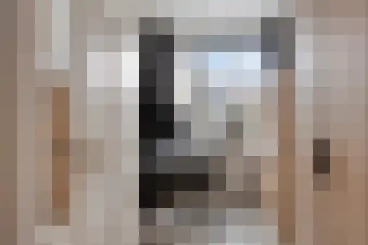 Deltalaan 214 Deventer thumbnail 24