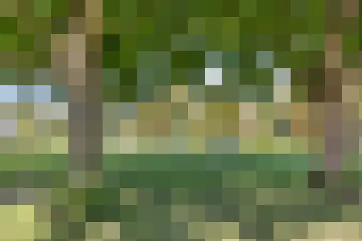 Deltalaan 214 Deventer thumbnail 27