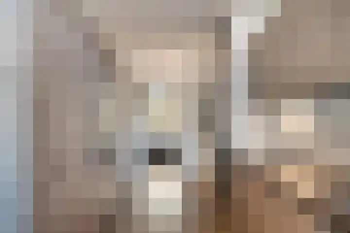 Deltalaan 214 Deventer thumbnail 9