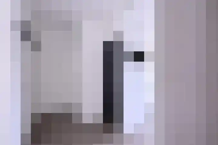 Deltalaan 248 Deventer thumbnail 16