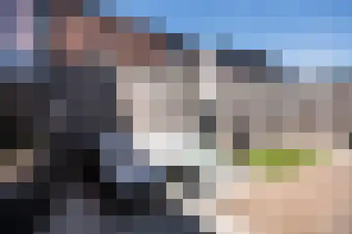 Deltalaan 42 Rosmalen thumbnail 24