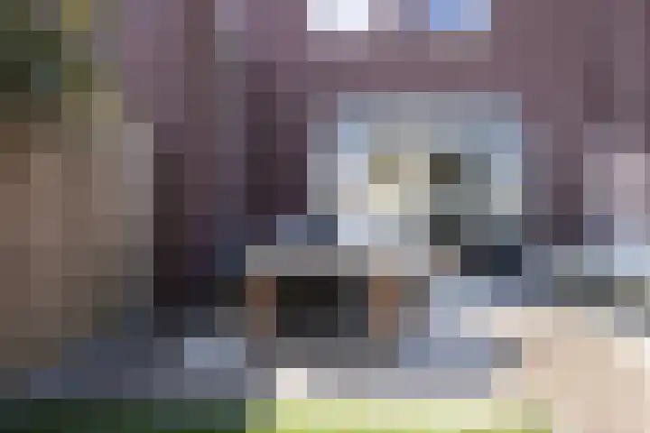Deltalaan 42 Rosmalen thumbnail 25