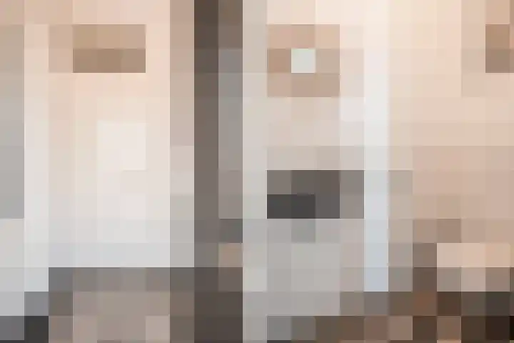 Deltalaan 42 Rosmalen thumbnail 4