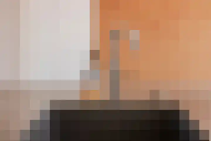 Deltalaan 42 Rosmalen thumbnail 8