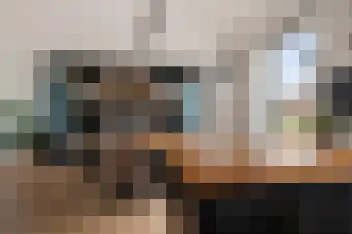 Deltaweg 75 Hoofddorp thumbnail 13