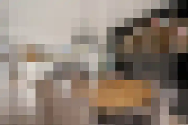 Deltaweg 75 Hoofddorp thumbnail 14