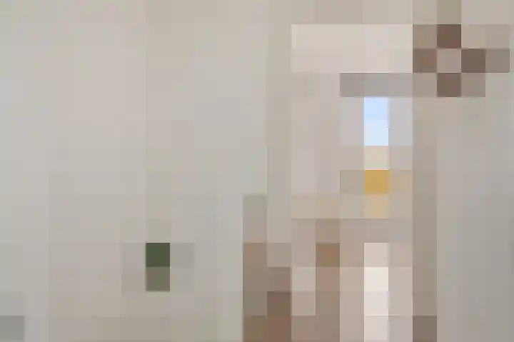 Deltaweg 75 Hoofddorp thumbnail 29