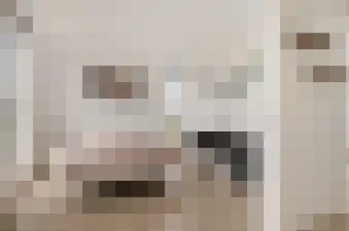 Deltaweg 75 Hoofddorp thumbnail 32