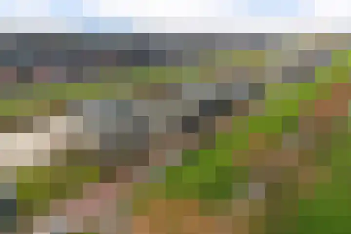 Deltaweg 75 Hoofddorp thumbnail 54