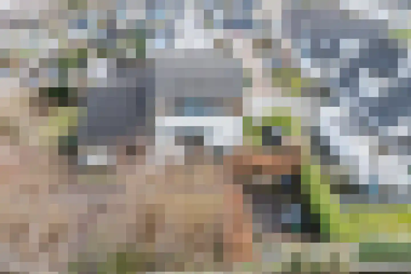 Delving 42 Akersloot thumbnail 51