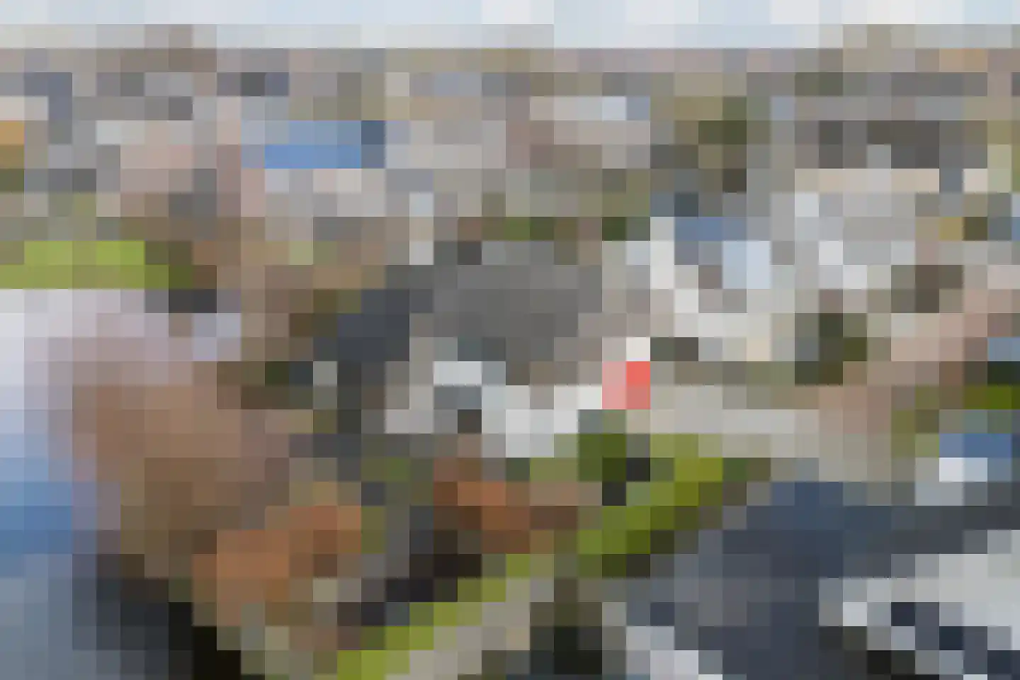 Delving 42 Akersloot thumbnail 55