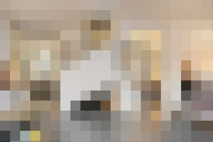 Demer 44 Heusden thumbnail 14
