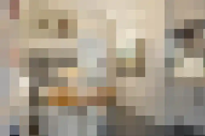 Demer 44 Heusden thumbnail 16
