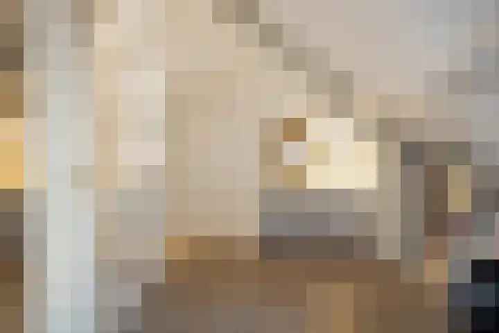 Demer 44 Heusden thumbnail 21