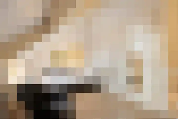Demer 44 Heusden thumbnail 23