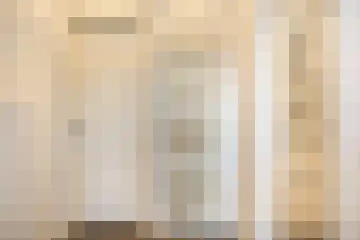 Demer 44 Heusden thumbnail 29