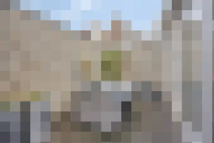 Demer 44 Heusden thumbnail 31