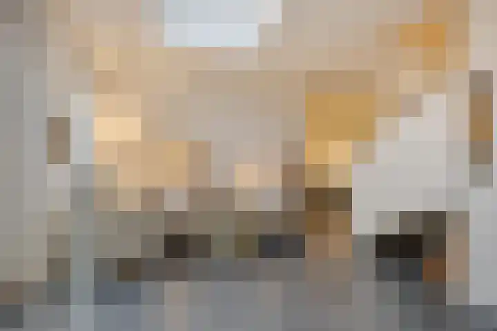 Demer 44 Heusden thumbnail 4