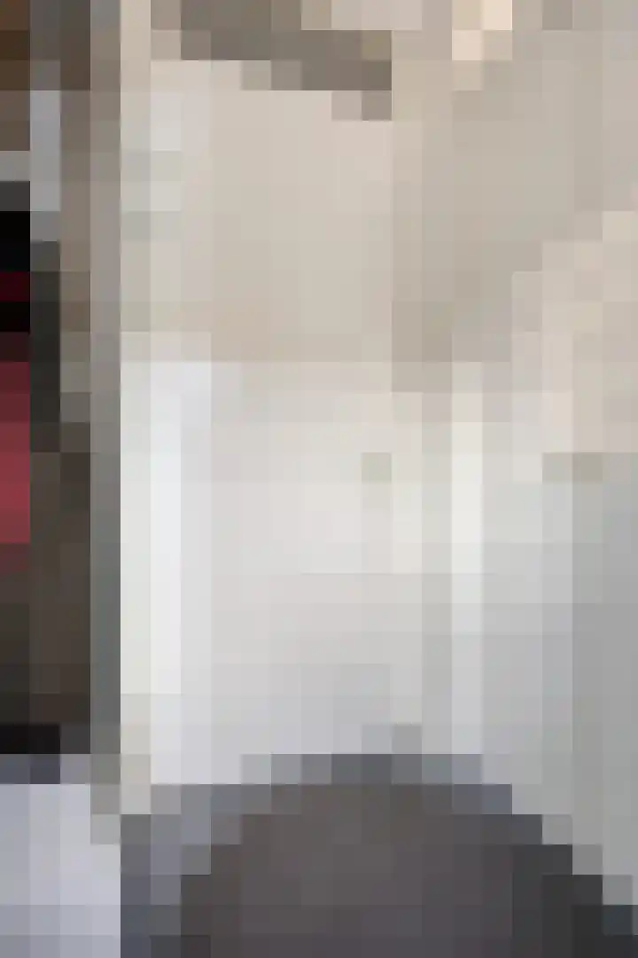 Demer 44 Heusden thumbnail 6