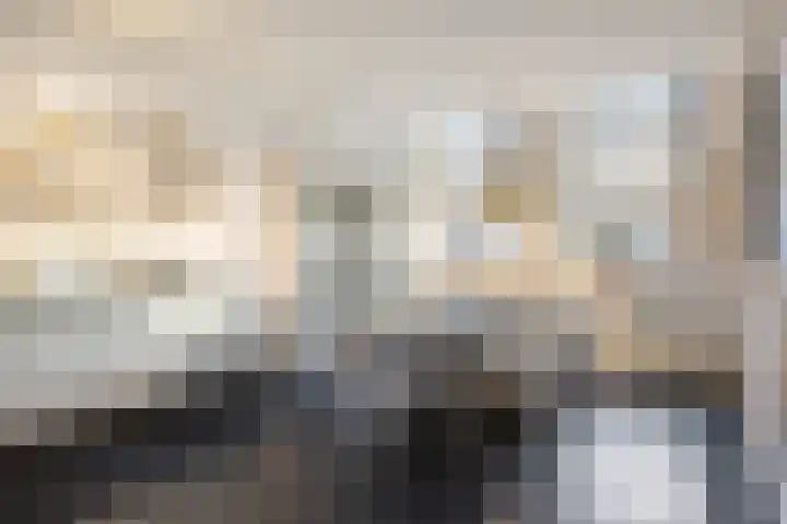 Demer 44 Heusden thumbnail 9