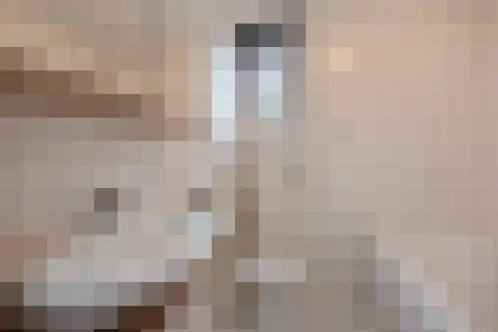 Demerstraat 2 Breda thumbnail 23