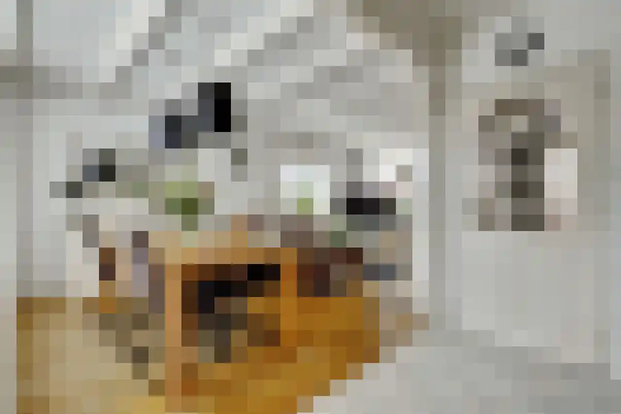 Demerstraat 21 Breda thumbnail 7
