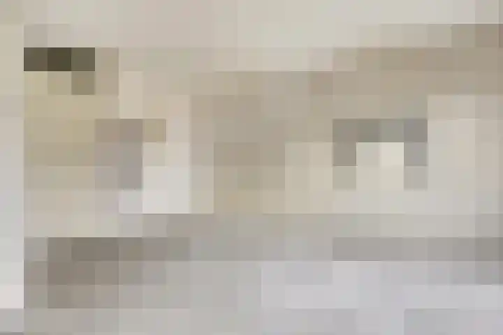Demerstraat 21 Breda thumbnail 8