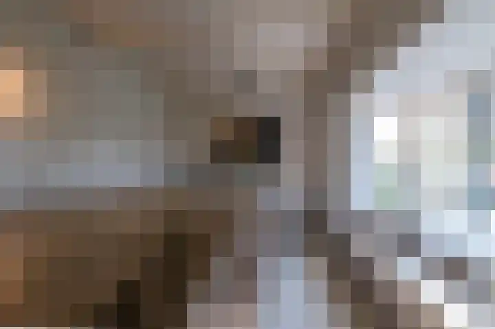 Demmerik 49 Vinkeveen thumbnail 19